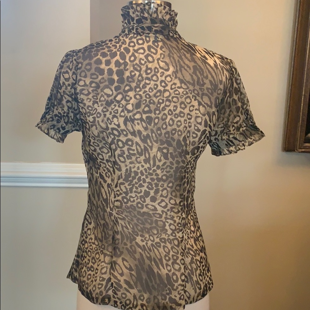 Beautiful Karlie sheer animal print top - Picture 3 of 6